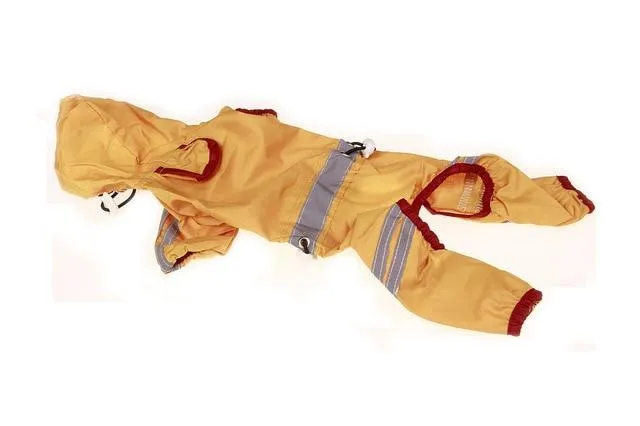 Waterproof For Small Dogs