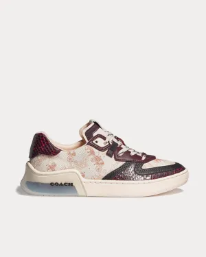 x Basquiat Citysole Court Ivory & Wine Low Top Sneaker Sneaker